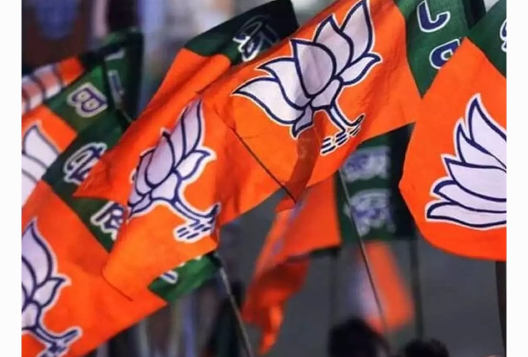 കുമ്മനം, ശ്രീധരന്പിള്ള,എം.ടി രമേശ്…; സ്ഥാനാര്ഥി പട്ടികയില് മുതിര്ന്ന നേതാക്കളെ തഴഞ്ഞതില് ബിജെപിയില് അതൃപ്തി